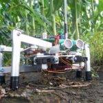 21252 Японских фермеров заменят роботами