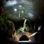 22676 Lowline — подземный парк, освещаемый зеркалами