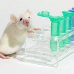 39402 Учёные вылечили мышей от ВИЧ