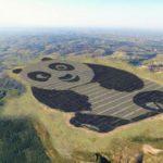 40553 Китайцы построили пандообразную солнечную электростанцию (2 фото)
