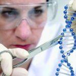 44327 Новый метод CRISPR не нарушает целостность ДНК