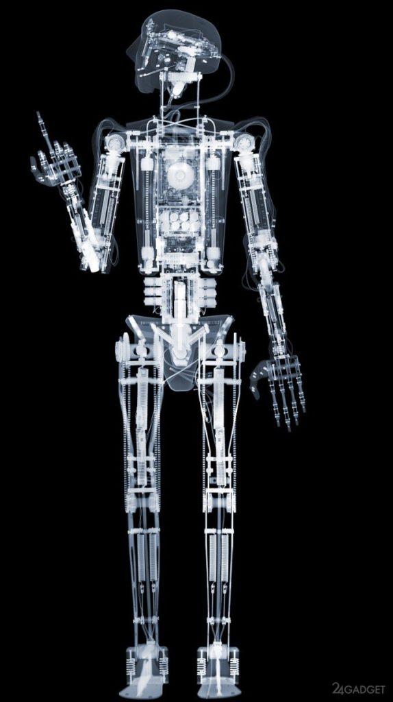 Рентген-взгляд на популярные механизмы (35 фото + видео)