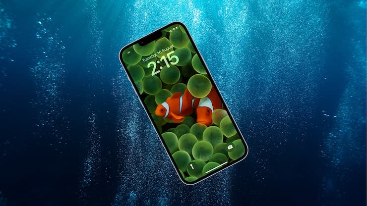 67839 Что делать, если iPhone упал в воду? 10 необходимых действий
